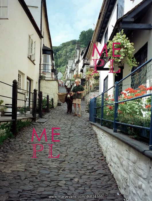 : Up a long, Clovelly : Up a long, Clovelly