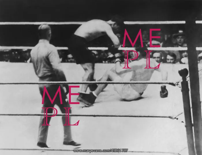 : Long Count Fight, the Gene Tunney-Jack Dempsey : Long Count Fight, the Gene Tunney-Jack Dempsey
