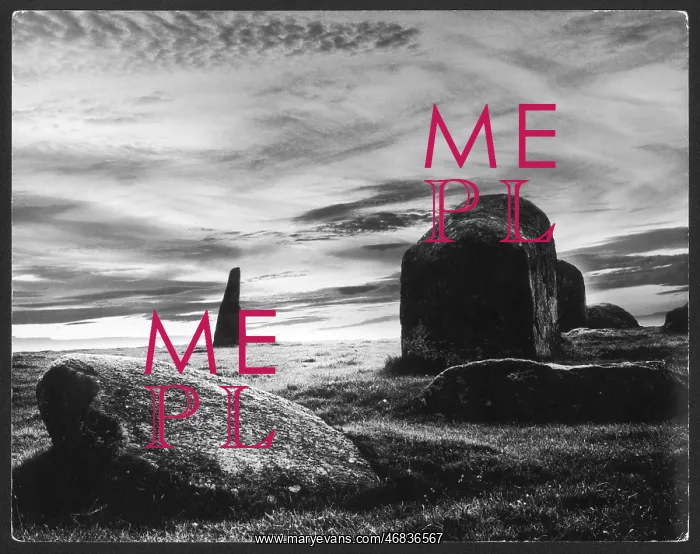 : LONG MEG STONE CIRCLE : LONG MEG STONE CIRCLE