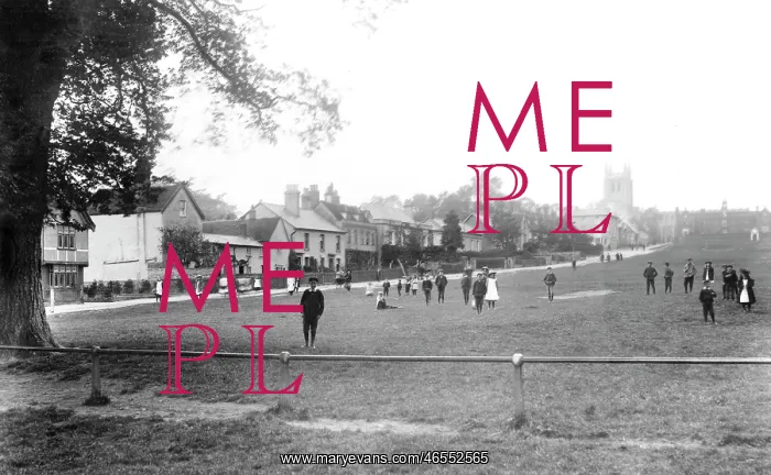  : Long Melford, the Green 1906