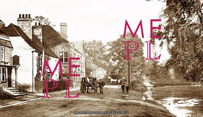  : The Long Pond, Westerham early 1900's