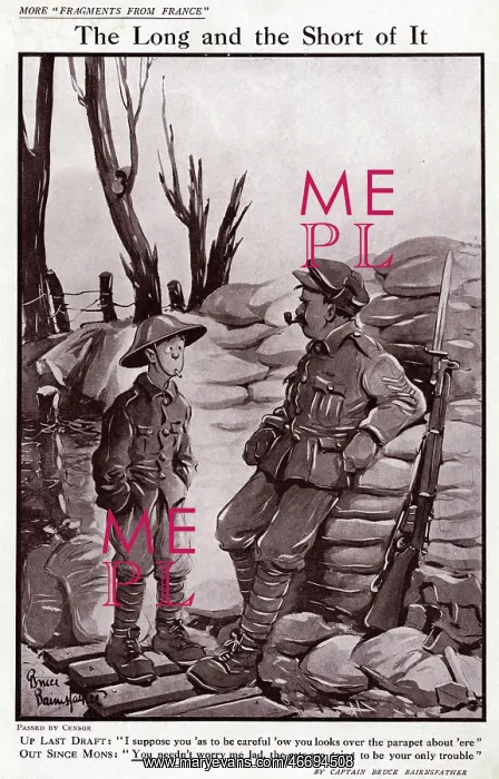 : The long and short of it : The long and short of it