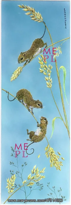 : Three Long-tailed fieldmice on oats : Three Long-tailed fieldmice on oats