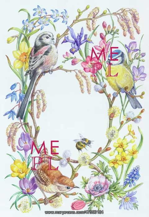 : Long-tailed tit, wren and blue tit with bee : Long-tailed tit, wren and blue tit with bee