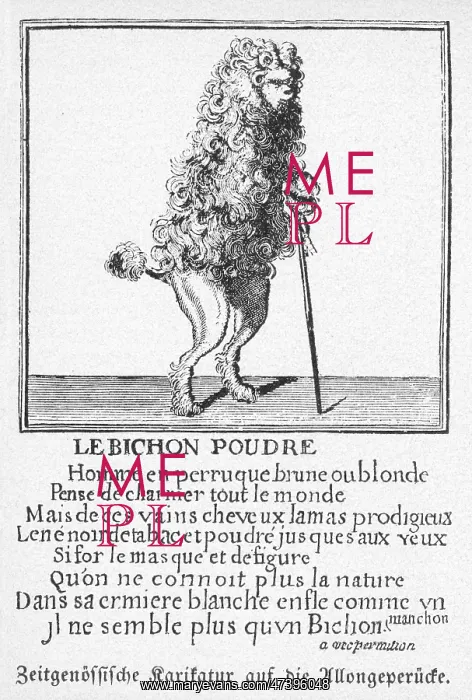 : LONG WIGS OF C17 SATIRE : LONG WIGS OF C17 SATIRE