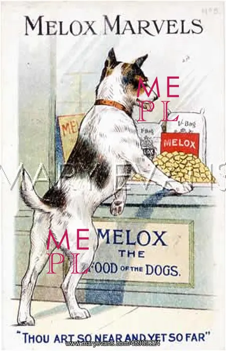 : LONGING FOR MELOX : LONGING FOR MELOX