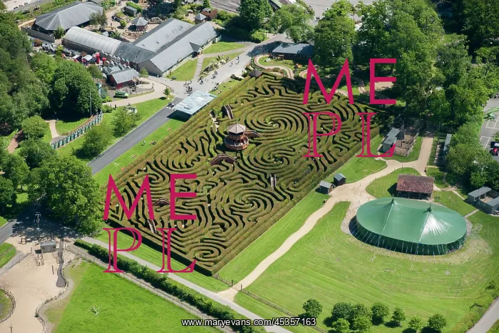 : Longleat Maze : Longleat Maze