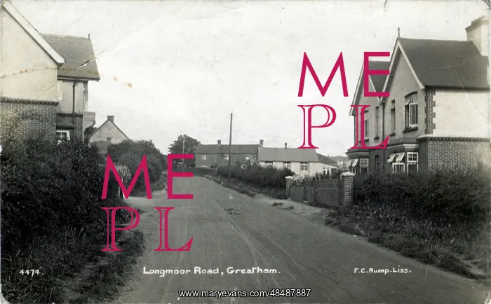 : Longmoor Road, Greatham, Liss, England : Longmoor Road, Greatham, Liss, England