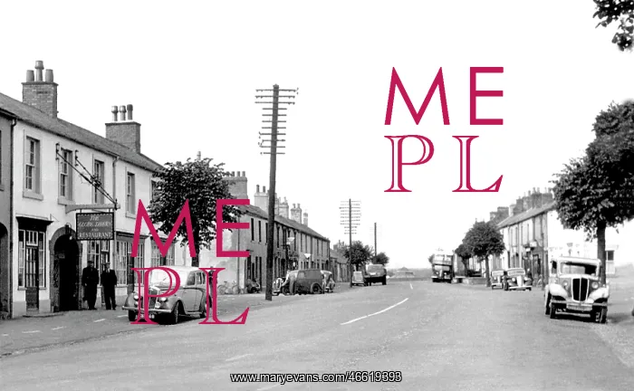  : Longtown, High Street 1950