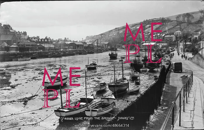 : Looe from the Bridge : Looe from the Bridge