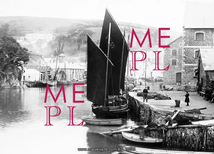  : Looe Harbour