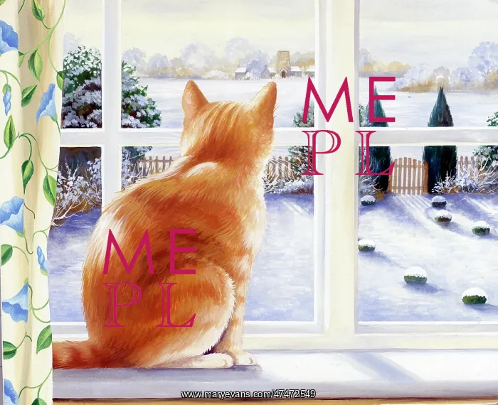 : On the Look Out, ginger cat : On the Look Out, ginger cat