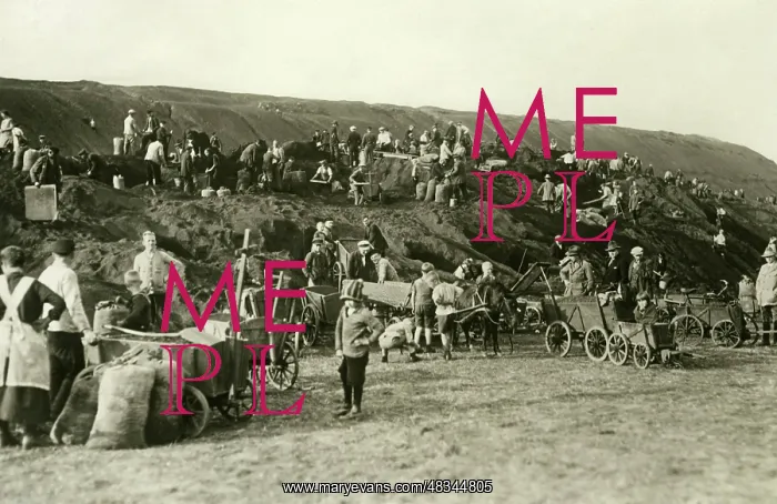 : Looking for coal, 1929 / 30 : Looking for coal, 1929 / 30