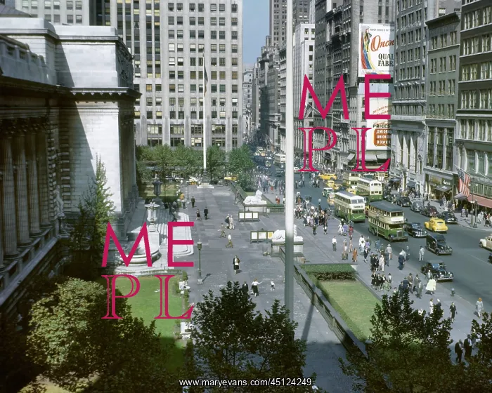 : Looking Up Fifth Avenue from Across The Front of : Looking Up Fifth Avenue from Across The Front of