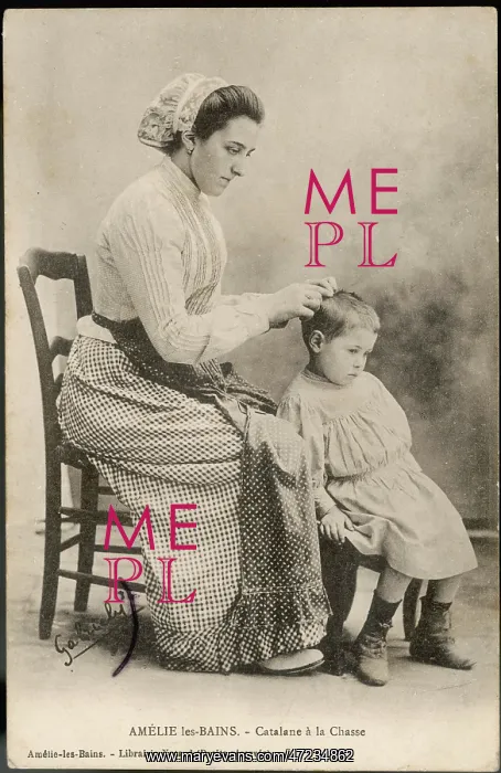 : LOOKING FOR HEADLICE : LOOKING FOR HEADLICE