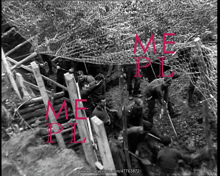 : Looking Down Past Wire Netting on Male British : Looking Down Past Wire Netting on Male British