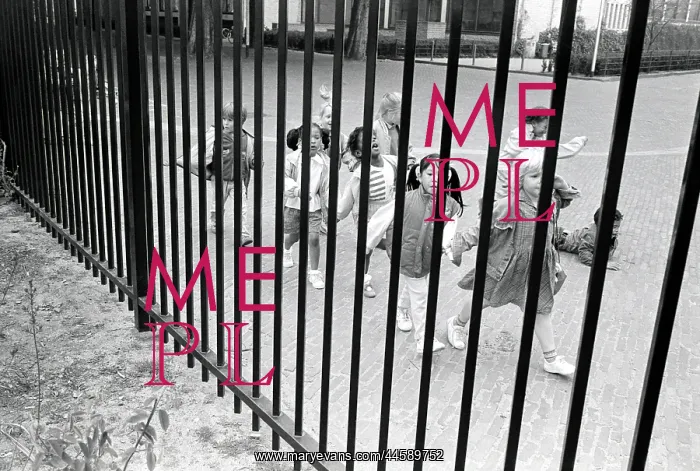 : Looking through a railing fence at a group of : Looking through a railing fence at a group of