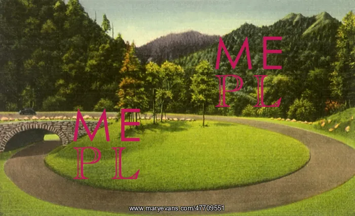  : The Loop, Newfound Gap