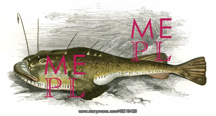 : Lophius piscatorius, or Anglerfish : Lophius piscatorius, or Anglerfish