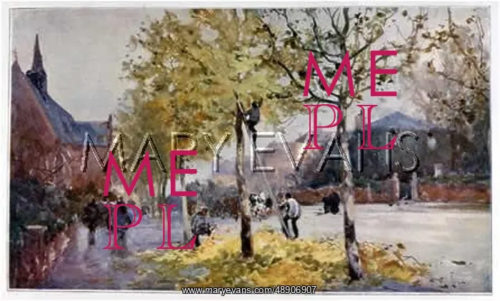 : LOPPING CITY TREES : LOPPING CITY TREES