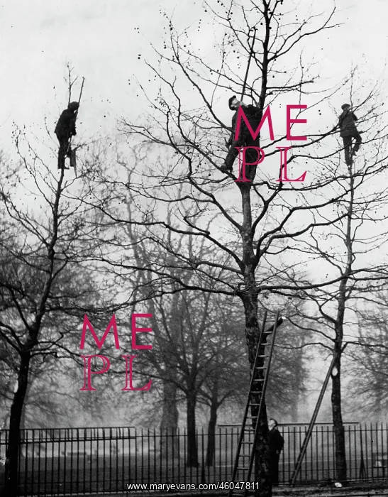 : Lopping trees : Lopping trees