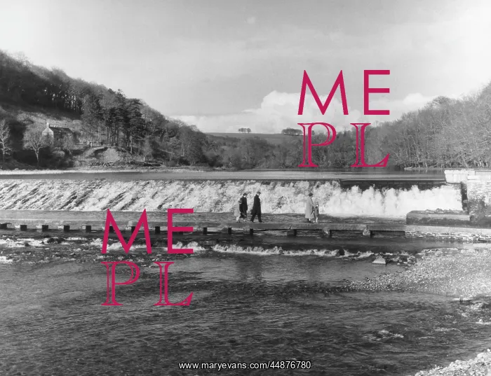 : LOPWELL DAM : LOPWELL DAM