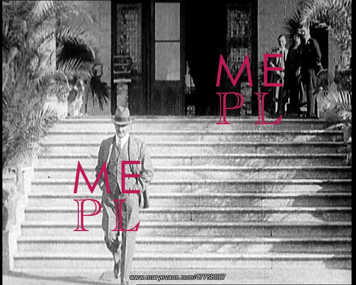 : Lord Edmund Allenby Walking Down the Steps : Lord Edmund Allenby Walking Down the Steps