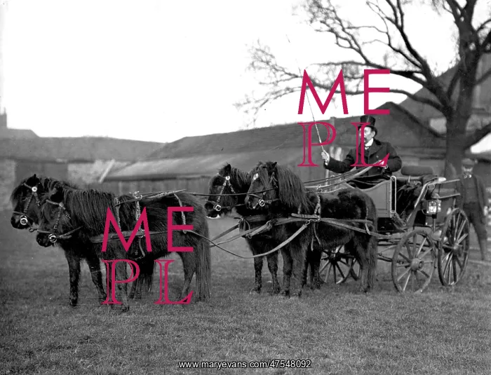 : Lord George Sanger with his ponies : Lord George Sanger with his ponies