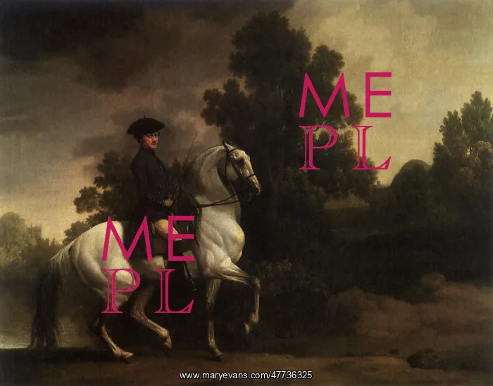  : Lord Pigot of Patshull, by Stubbs
