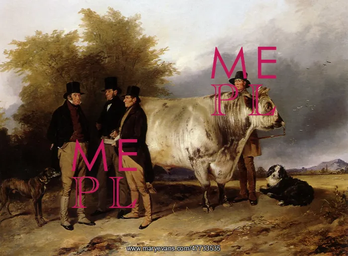  : Lord Spencer and Bull
