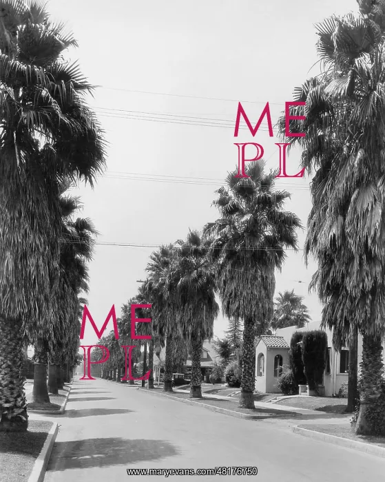 : Los Angeles, 1933 : Los Angeles, 1933