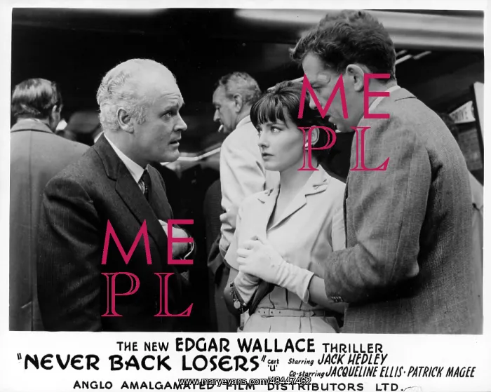 : NEVER BACK LOSERS : NEVER BACK LOSERS