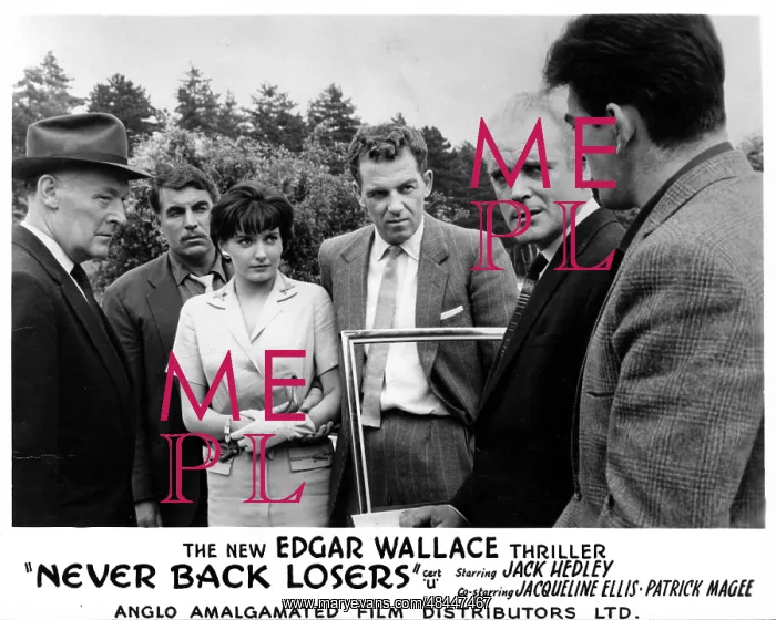 : NEVER BACK LOSERS : NEVER BACK LOSERS