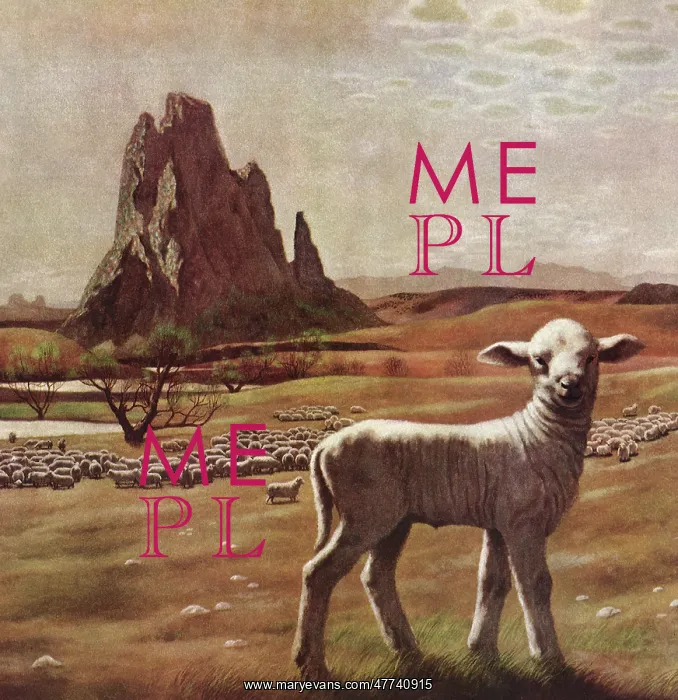: Lost Lamb : Lost Lamb
