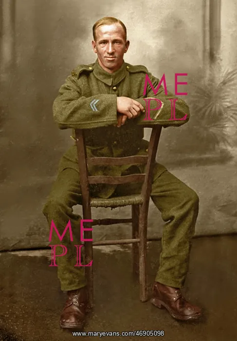 : Lost Tommies in Colour : Lost Tommies in Colour