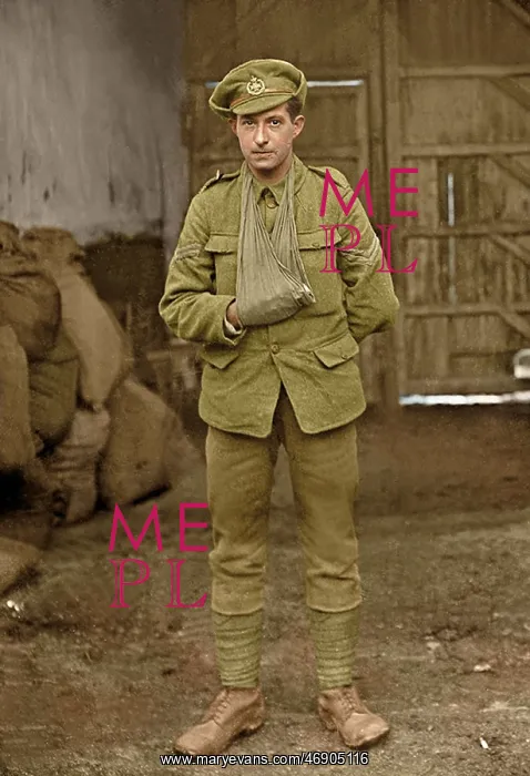 : Lost Tommies in Colour : Lost Tommies in Colour