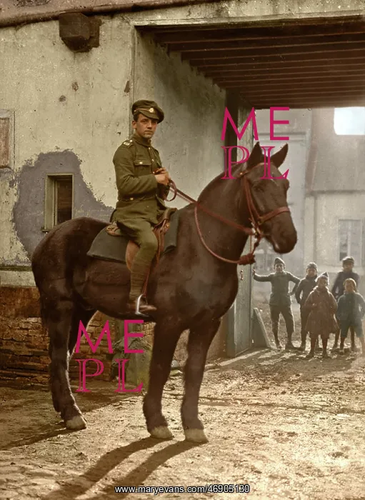 : Lost Tommies in Colour : Lost Tommies in Colour