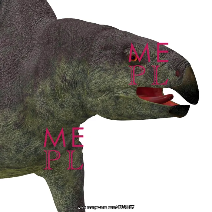 : Lotosaurus dinosaur head : Lotosaurus dinosaur head