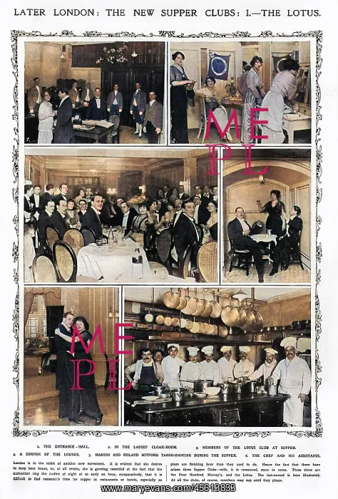 : The Lotus Club : The Lotus Club