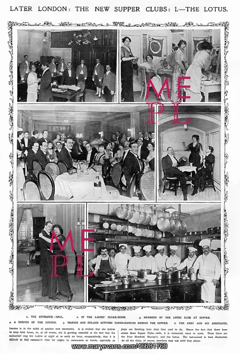 : The Lotus Club : The Lotus Club