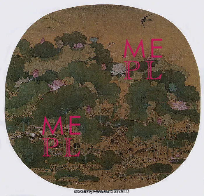  : Lotus Pond