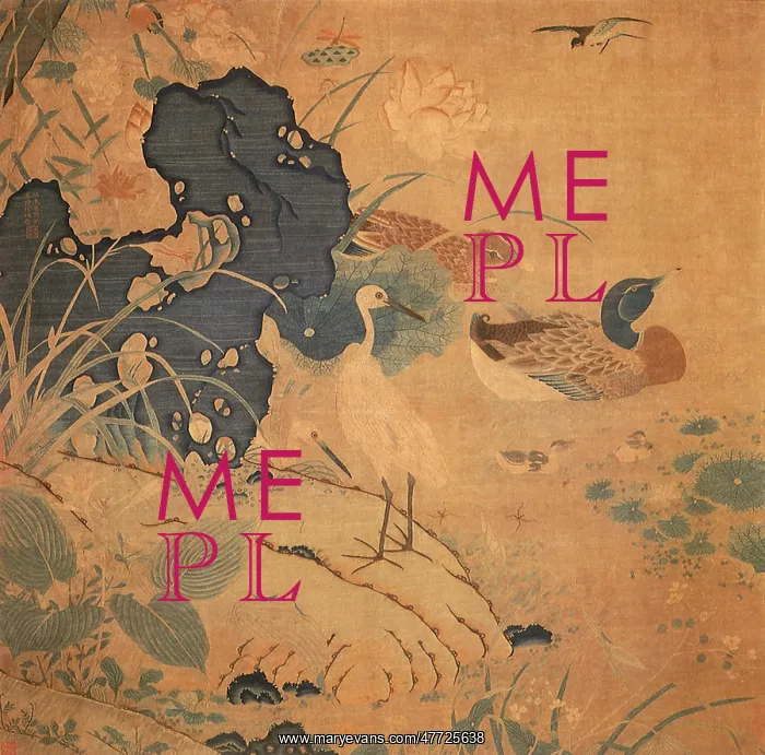 : Lotus Pond : Lotus Pond