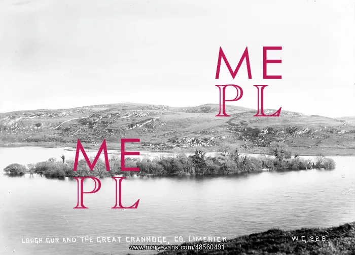 : Lough Gur and the Great Crannoge, Co Limerick : Lough Gur and the Great Crannoge, Co Limerick