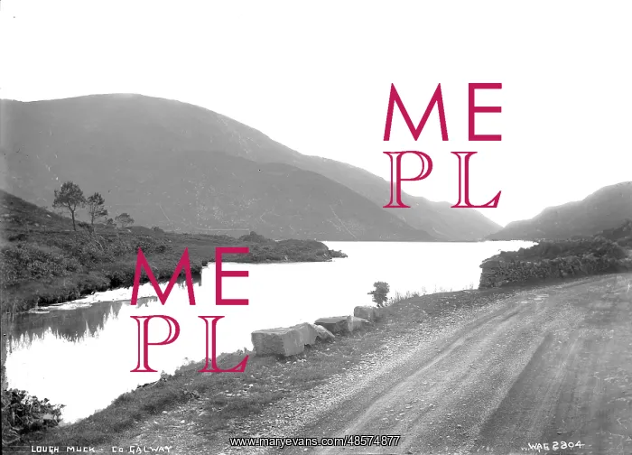: Lough Muck, Co. Galway : Lough Muck, Co. Galway