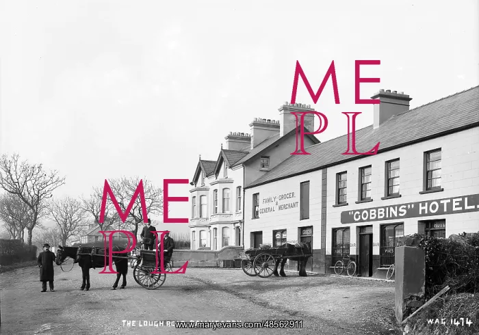 : The Lough Road, Ballycarry : The Lough Road, Ballycarry