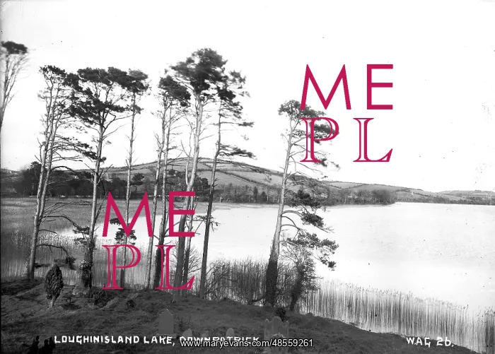 : Loughinisland Lake, Downpatrick : Loughinisland Lake, Downpatrick