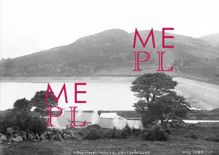 : Loughislandreevy, Castlewellan : Loughislandreevy, Castlewellan