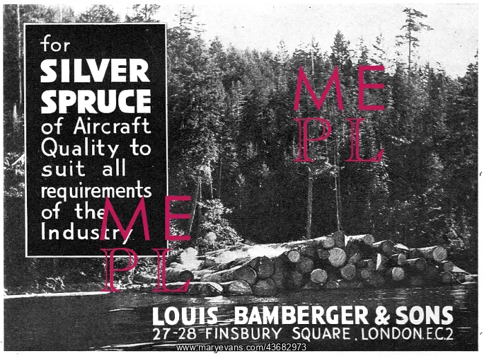 : Louis Bamberger - Aircraft Quality Silver Spruce : Louis Bamberger - Aircraft Quality Silver Spruce