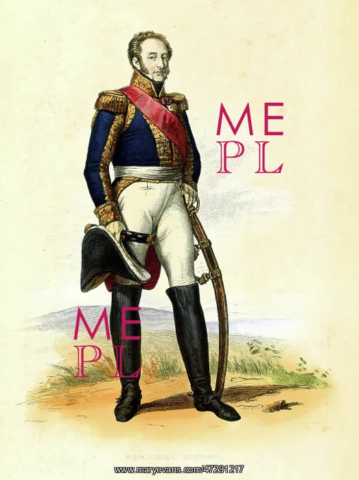  : Louis Gabriel Suchet