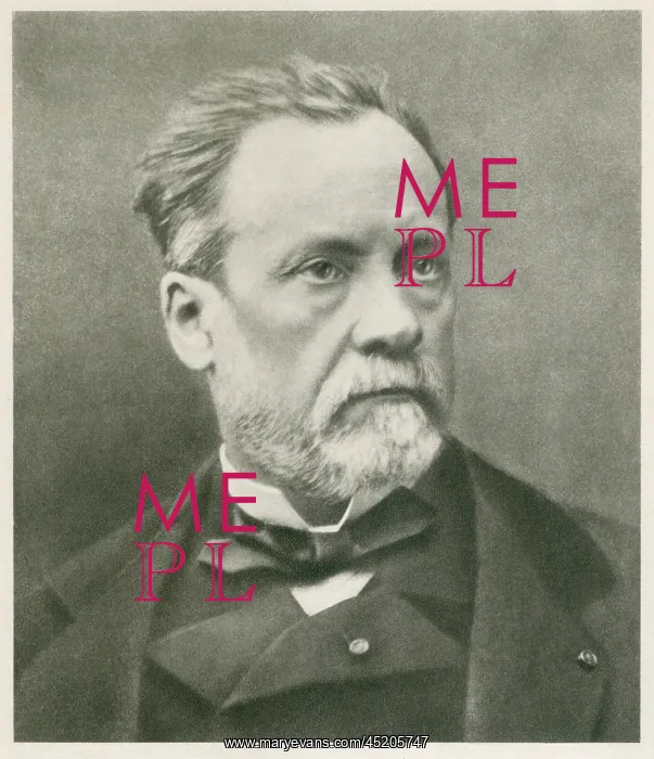 : Louis Pasteur (1822-1895), French chemist ? : Louis Pasteur (1822-1895), French chemist ?